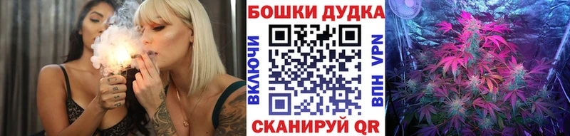 Конопля сатива  Ковдор 